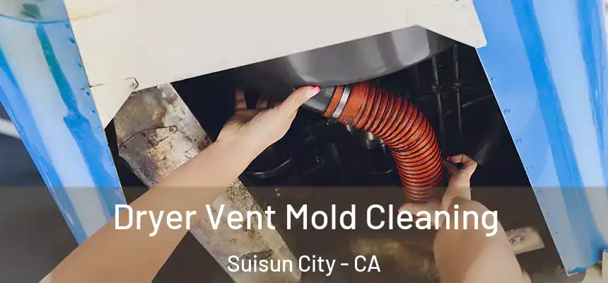  Dryer Vent Mold Cleaning Suisun City - CA