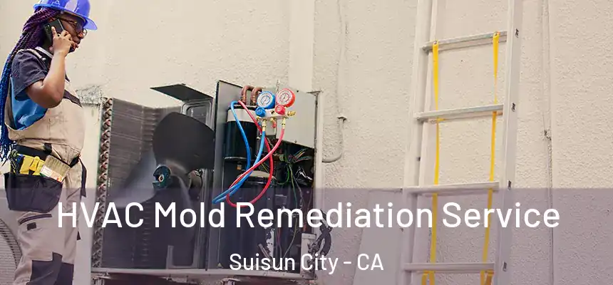 HVAC Mold Remediation Service Suisun City - CA