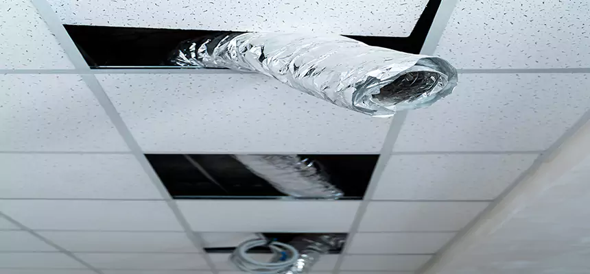 Affordable HVAC Sanitizing After Pest Removal in Suisun City