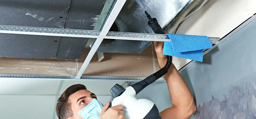 Our Air Duct Rodent Removal Services in Suisun City, CA