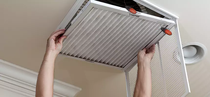Our Insect Removal from Air Ducts Services in Suisun City, CA