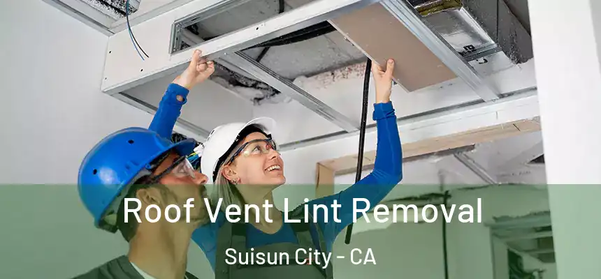 Roof Vent Lint Removal Suisun City - CA