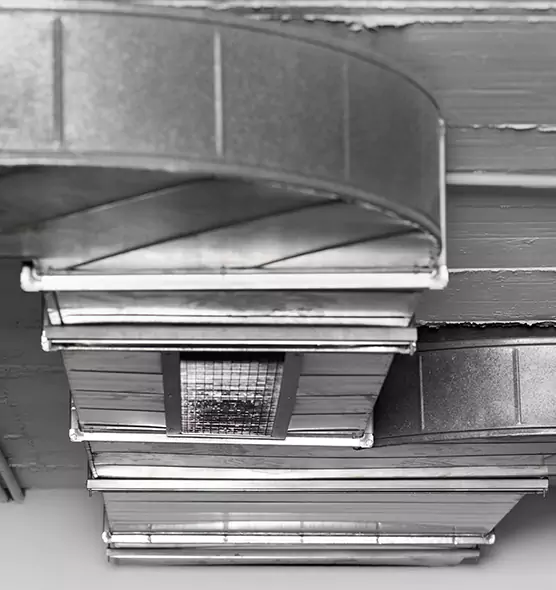 Professional Air Duct Pest Removal in Suisun City, CA