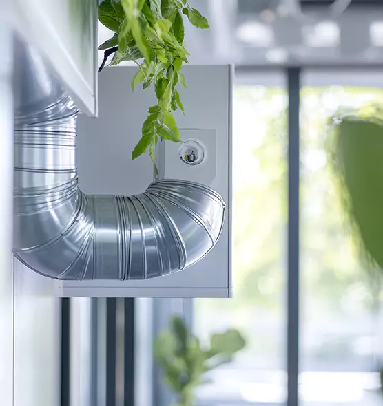 Professional Eco-Friendly Duct Cleaning Services in Suisun City, CA