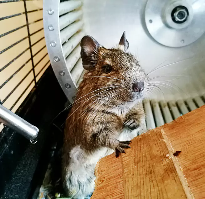 Why Homeowners & Businesses Trust Us Suisun City, CA?