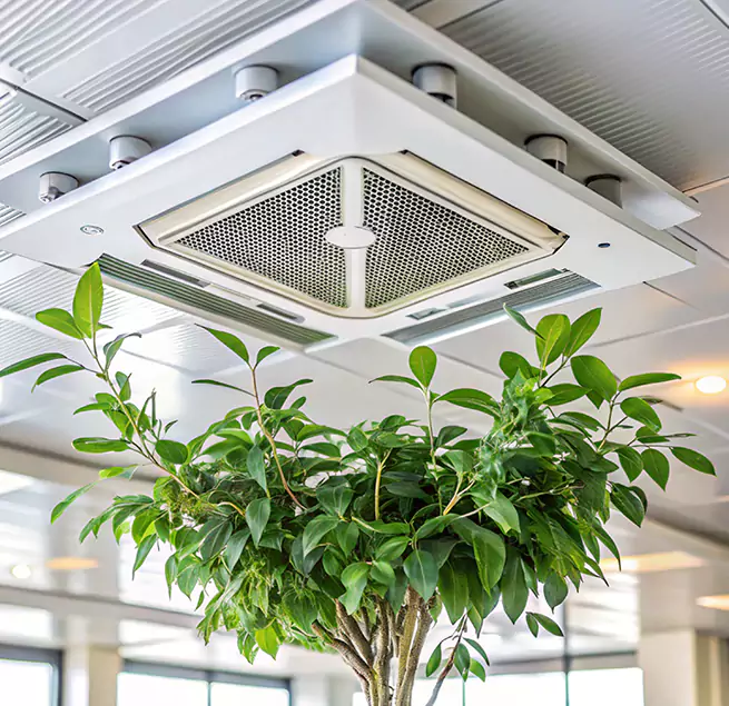 Why Homeowners & Businesses Trust Us in Suisun City, CA