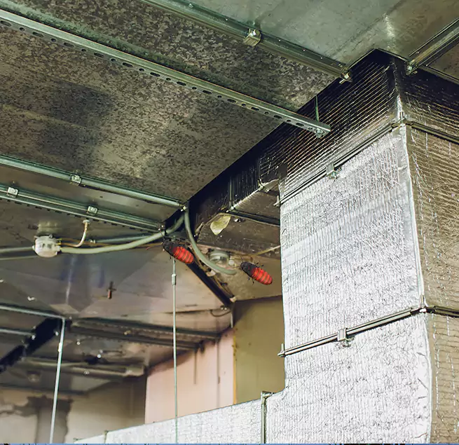 Why Homeowners & Businesses Trust Us Suisun City, CA?