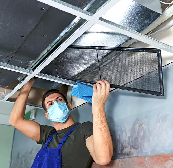 Why Homeowners Businesses Trust Us in Suisun City, CA?